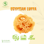 Egyptian luffa